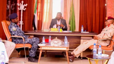 جنوب دارفور