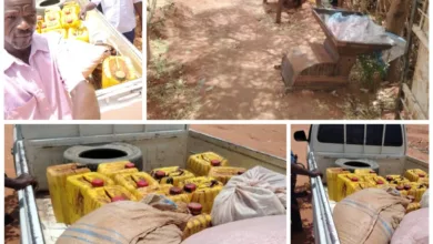 مصنع عشوائي