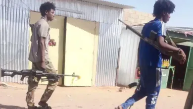 502496482 1289570389843101 8315842335141868318 n 780x470.jpg