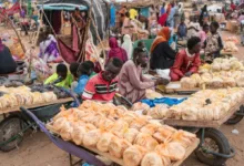 الضروريات أثقل من الجيوب... كيف يدبّر السودانيون قوت يومهم؟ سوق بحري