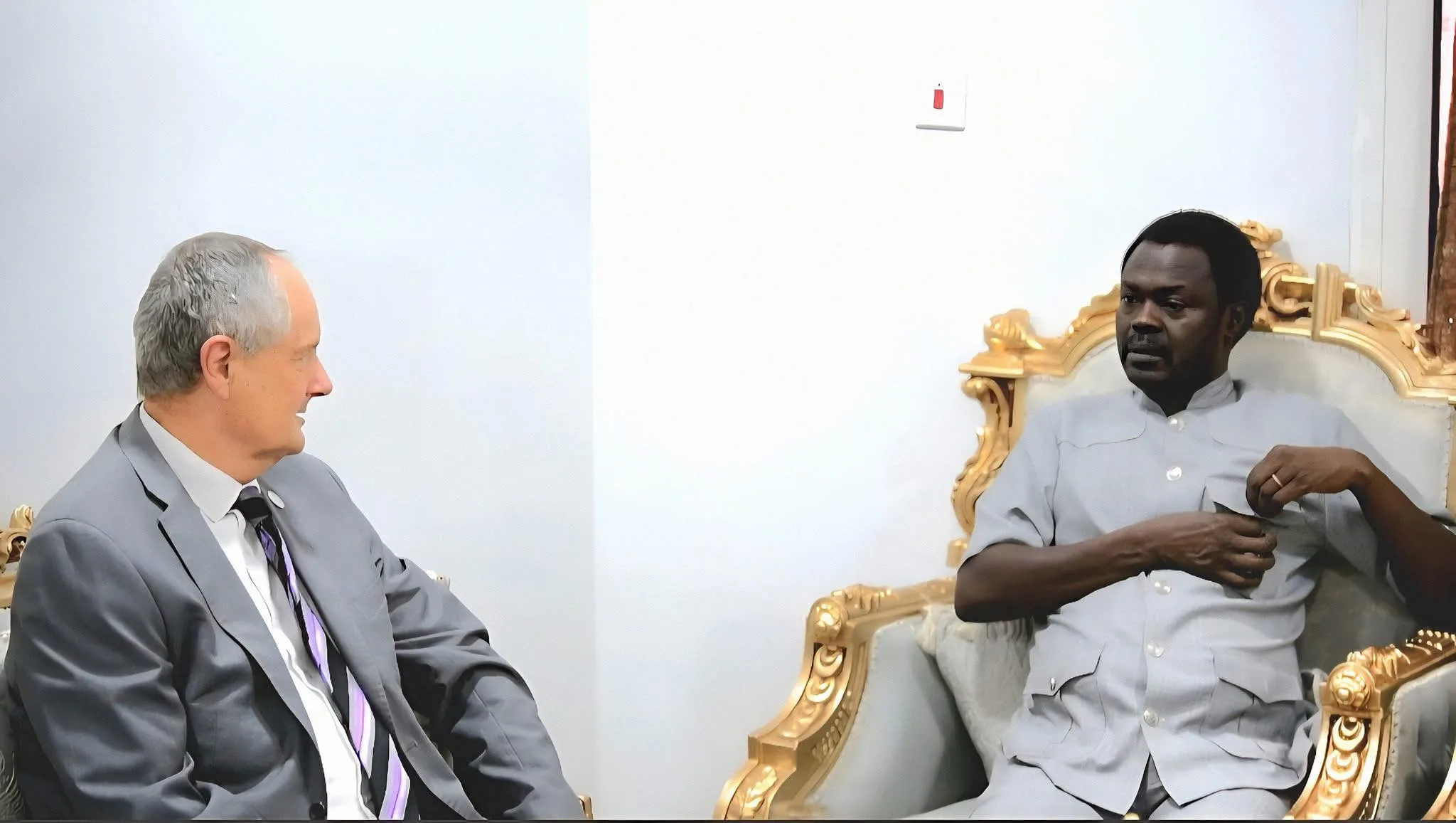 مناوي يلتقي رئيس منظمة نداء جنيف مناوي