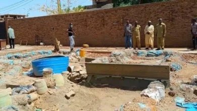 IMG 6057 780x470.jpeg