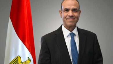 وزير الخارجية المصري: وضع الميليشيات على قدم المساواة مع الدولة مرفوض images 50 - وزير الخارجية المصري: وضع الميليشيات على قدم المساواة مع الدولة مرفوض