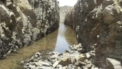 حمامات عكاشة