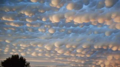 سحب الماماتوس