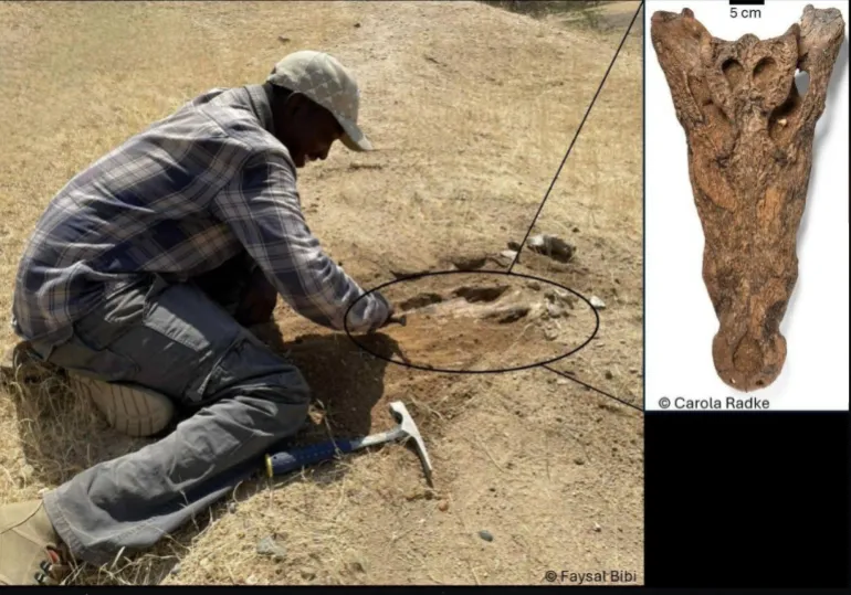 خلف الله 1754301206