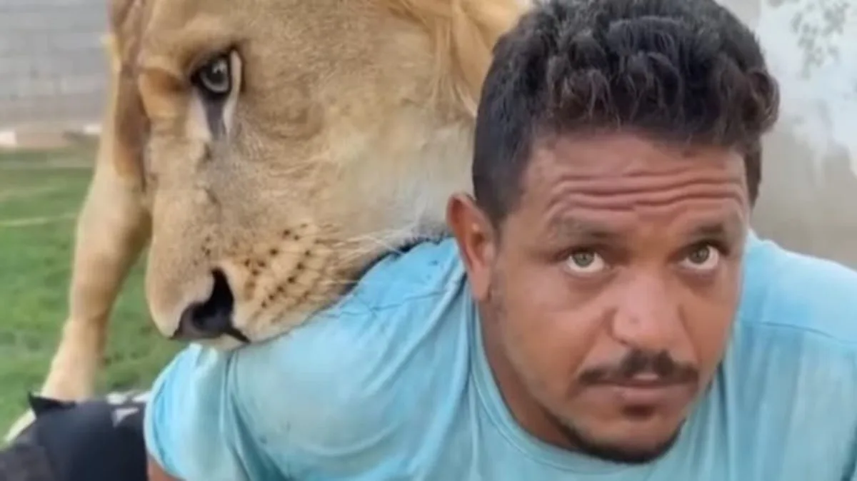 فيديو صادم.. ليبي يطلق أسداً على عامل مصري ويثير جدلاً واسعاً عامل مصري