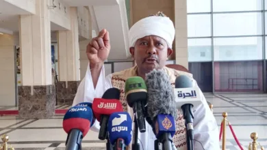 محمد عثمان الرضي