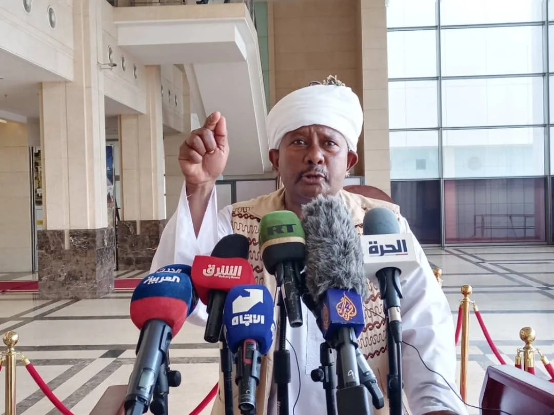 محمد عثمان الرضي