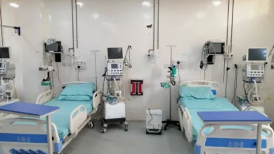 وفاة طفل بسبب لدغة ذبابة الرمال السوداء