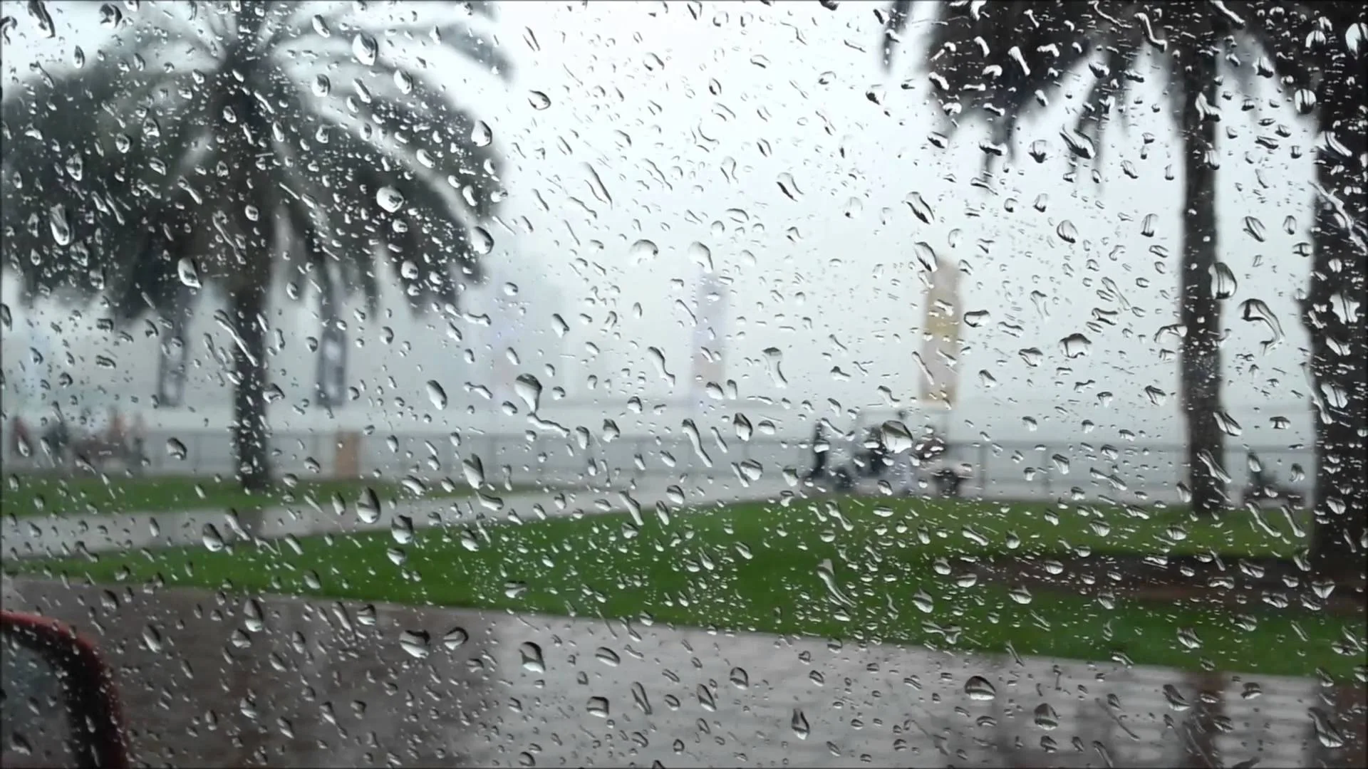 مطر rain