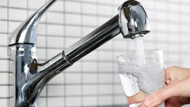 016fa420 cfe9 4628 a895 84087def4020