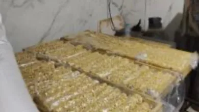 ضبط 4 أطنان حلوى المولد الفاسدة