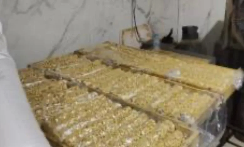 ضبط 4 أطنان حلوى المولد الفاسدة
