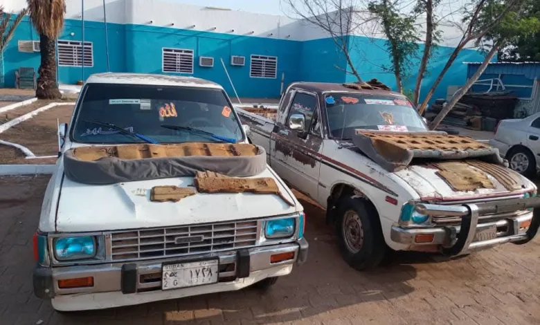 المباحث الجنائية تحبط أكبر عملية سرقة ذهب بحلفا الجديدة وتستعيد 2 كيلو FB IMG 1755548952574