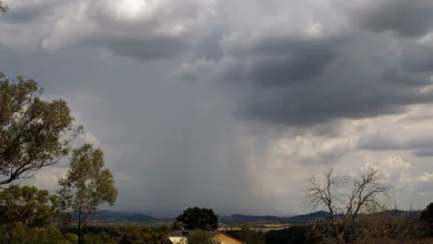 امطار السودان