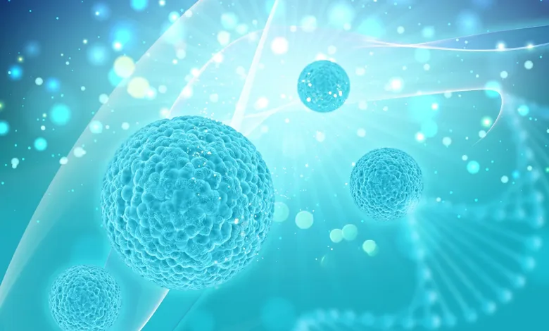 خلايا جذعية