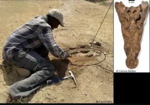 خلف الله 1754301206