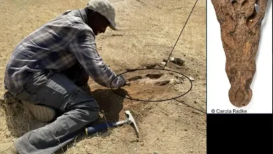 خلف الله 1754301206