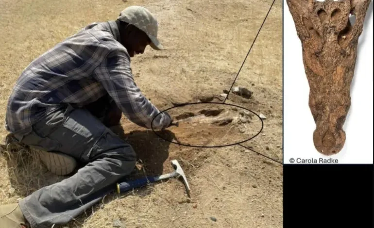 خلف الله 1754301206