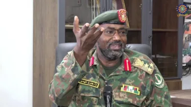 طارق الهادي كجاب