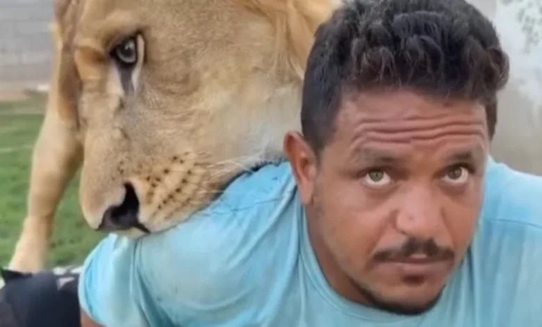 فيديو صادم.. ليبي يطلق أسداً على عامل مصري ويثير جدلاً واسعاً عامل مصري