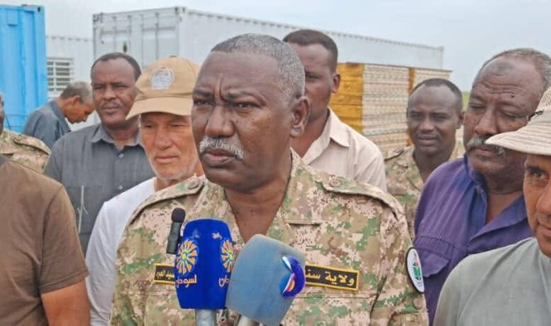 والي سنار يتفقد مطار النورانية ويشدد على الجاهزية مطار النورانية - والي سنار يتفقد مطار النورانية ويشدد على الجاهزية