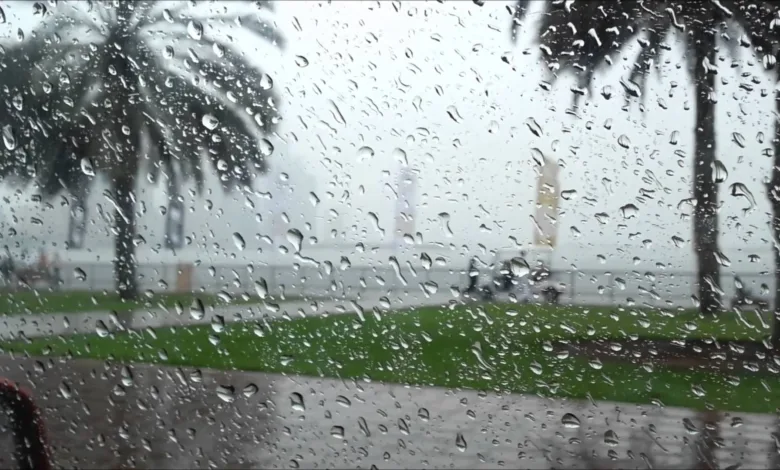 مطر rain