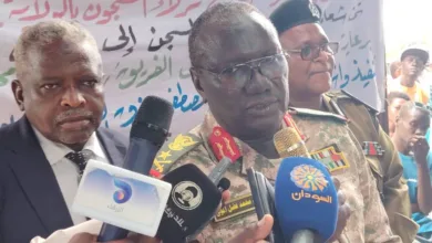 والي النيل الأبيض