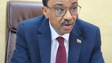 وزير التعليم العالي يوضح حقيقة رفض تطبيق الهيكل الراتبي الجديد وزير التعليم العالي