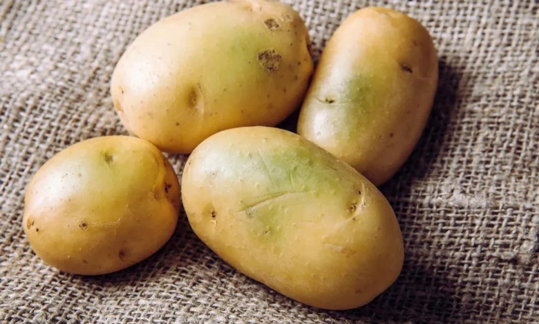 92ea3676 e3b1 4128 9095 b31ebcc67aaa