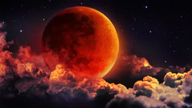 shutterstock 311299340 copy