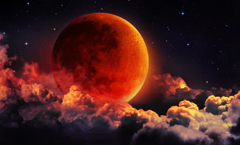 shutterstock 311299340 copy