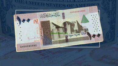 الجنيه السوداني