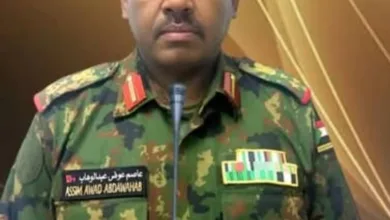 الناطق الرسمي عاصم عوض