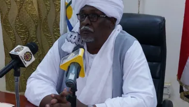 والي نهر النيل