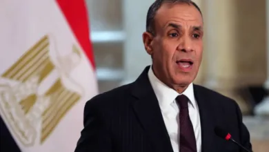 وزير خارجية مصر