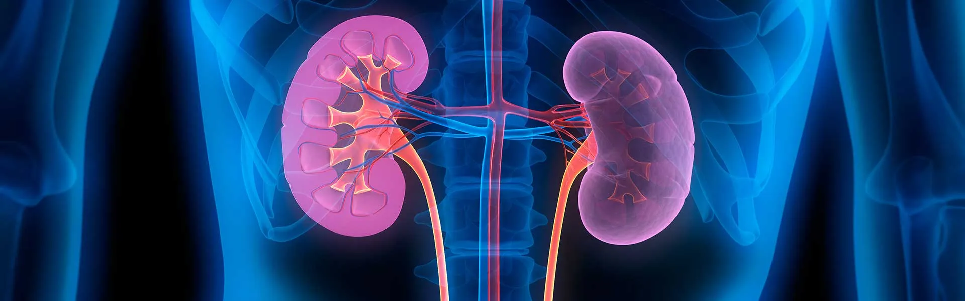 اضرار صبغة الشعر على الكلى