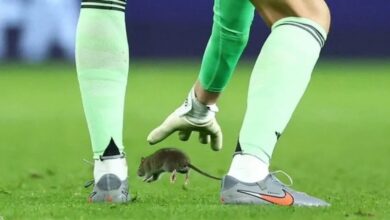 IMG 20251015 WA0001 - حادثة طريفة في تصفيات كأس العالم: فأر يوقف مباراة دولية