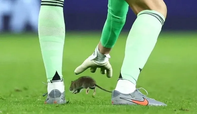 حادثة طريفة في تصفيات كأس العالم: فأر يوقف مباراة دولية IMG 20251015 WA0001