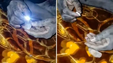 Screenshot 20251015 141404