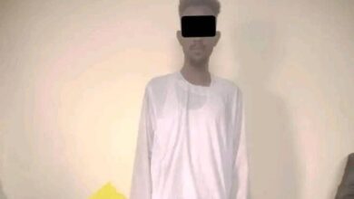 Screenshot 20251016 231555 - القبض على أخطر عنصر نائم للدعم السريع بشرق النيل