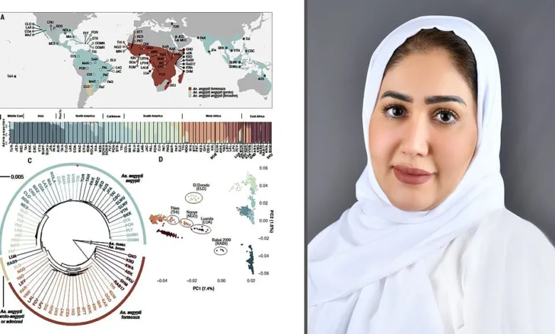 باحثة سعودية تكشف أسرار تطور وانتشار بعوضة حمى الضنك عالميًا أشواق مدني