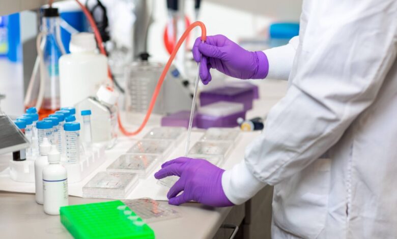 اغرب 5 اكتشافات علمية لعام 2025.. واحدة منها حدثت بالصدفة! اكتشافات علمية