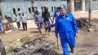 الطاهر البلولة