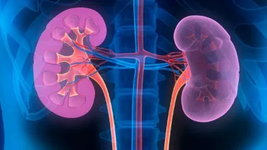 اضرار صبغة الشعر على الكلى