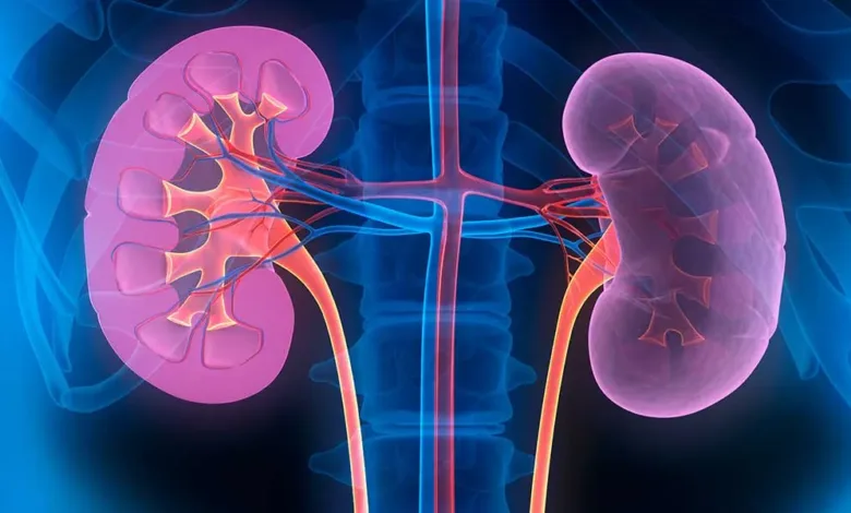 اضرار صبغة الشعر على الكلى