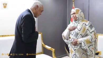 رئيس المحكمة الدستورية - شيء من الرزانة المهنية ضروري، يا رئيس المحكمة الدستورية