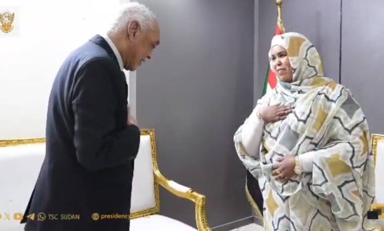 شيء من الرزانة المهنية ضروري، يا رئيس المحكمة الدستورية رئيس المحكمة الدستورية - شيء من الرزانة المهنية ضروري، يا رئيس المحكمة الدستورية