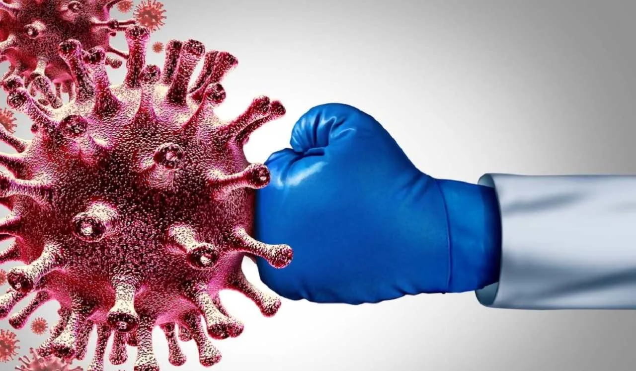 كيف تعرف أن جهاز المناعة لديك قوي؟ 8 علامات واضحة بدون فحوصات جهاز المناعة